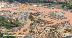 Projeto de Lei que tramita no Senado ameaça Educação Ambiental